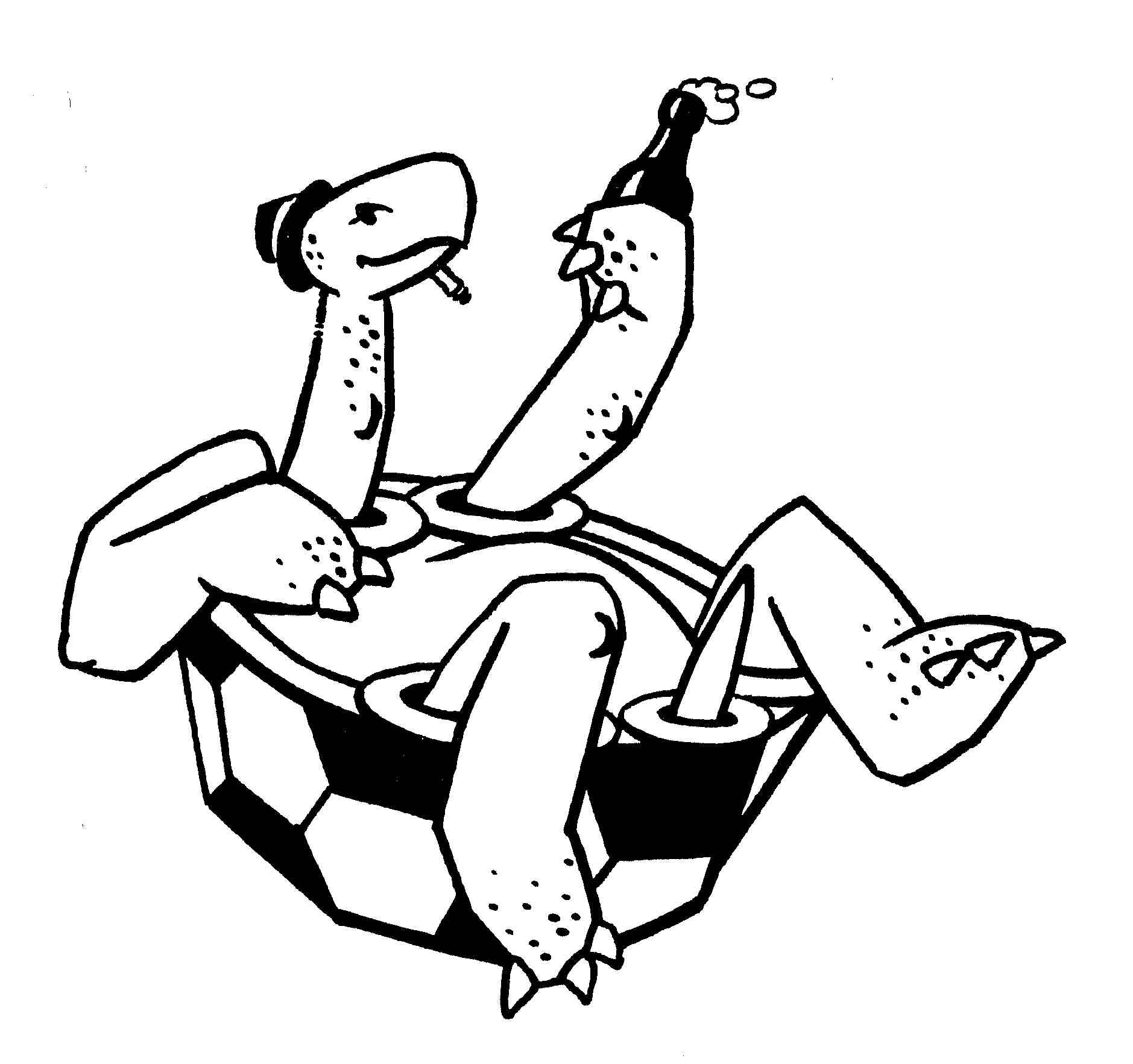 Turtle.jpeg